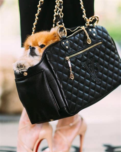 Sac Chanel Chien 